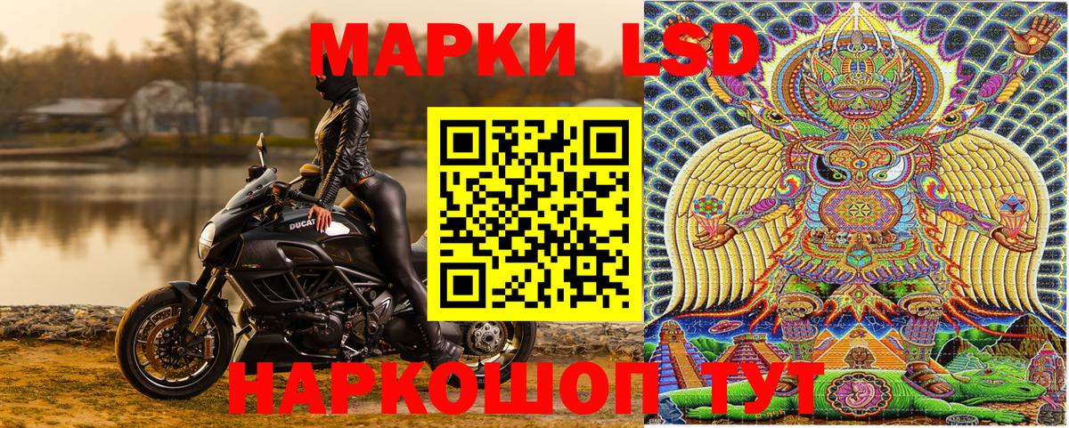 Наркотические марки 1500мкг Сокол