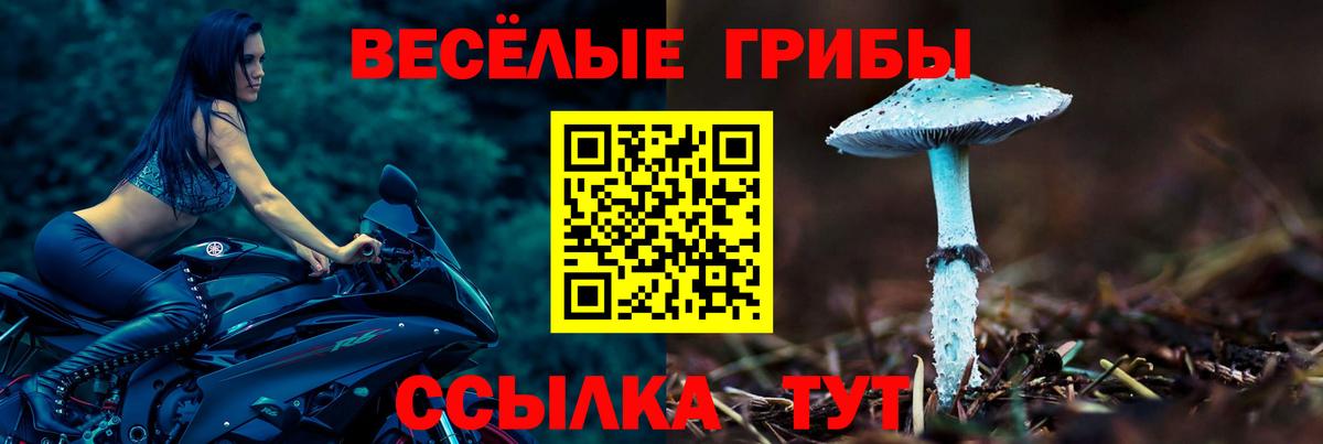 Галлюциногенные грибы MAGIC MUSHROOMS  Вход с VPN  Сокол  Псилоцибиновые грибы GOLDEN TEACHER 