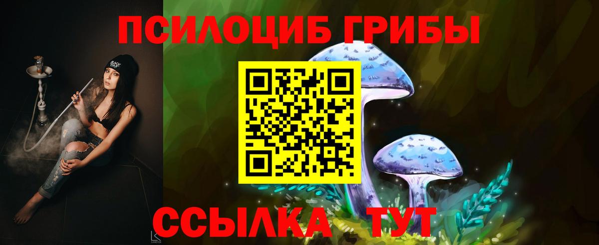 Псилоцибиновые грибы MAGIC MUSHROOMS Сокол